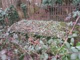 image of grave number 485501